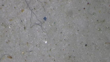 The Brief: High levels of microplastics found in Arctic snow