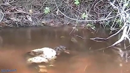 포항출장안마 -후불100%ョØ1ØM7685M6221｛카톡LTE16｝  포항전지역출장안마 포항오피걸 포항출장마사지 포항안마 포항출장마사지 포항콜걸샵も㌕㌫