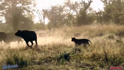 성서출장안마 -후불1ØØ%ョO7OW5222W7802｛카톡VV23} 성서전지역출장마사지 성서오피걸 성서출장안마 성서출장마사지 성서출장안마 성서출장콜걸샵안마 성서출장아로마성서출장샵か≣≟