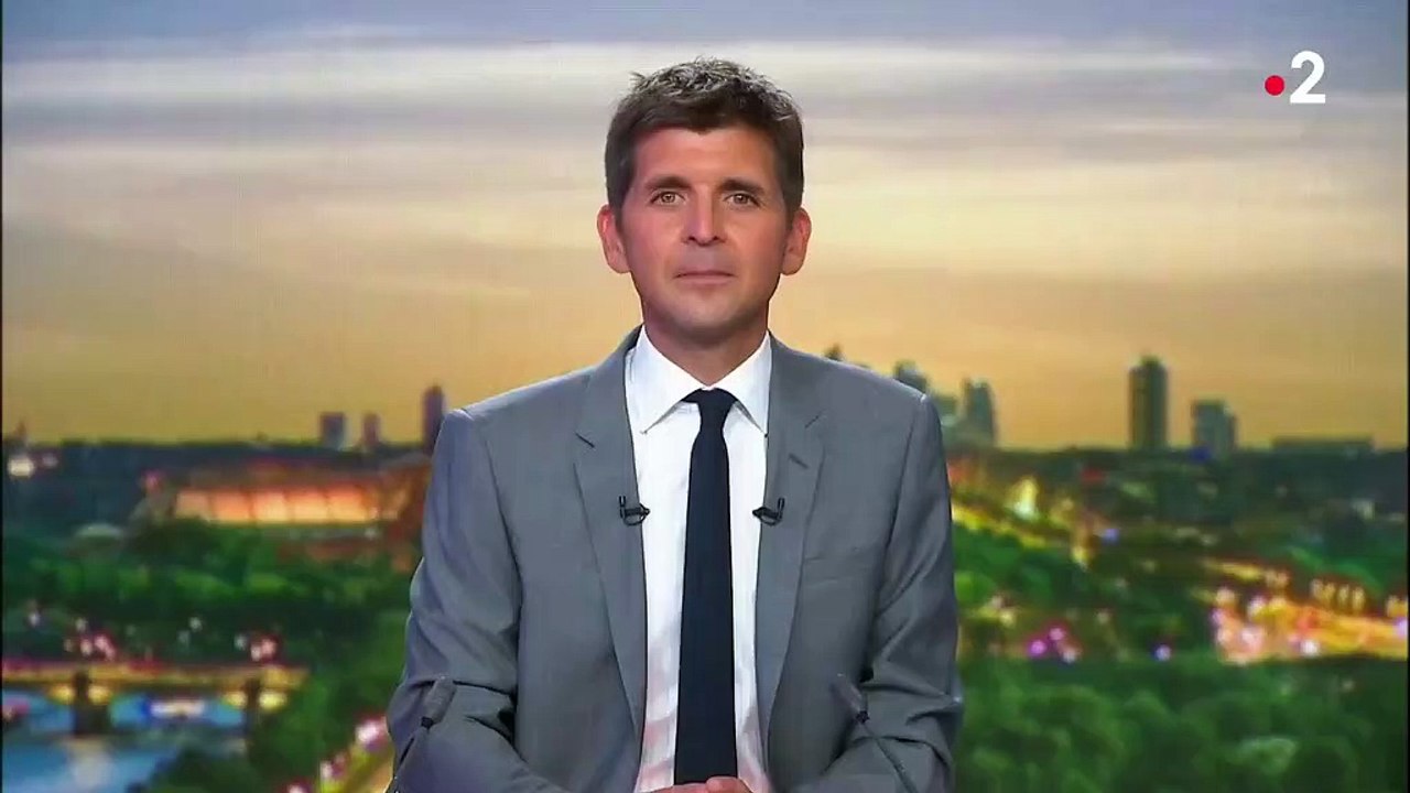 Incendie dans l'Aude : des centaines d'hectares de pinède et de broussailles détruits