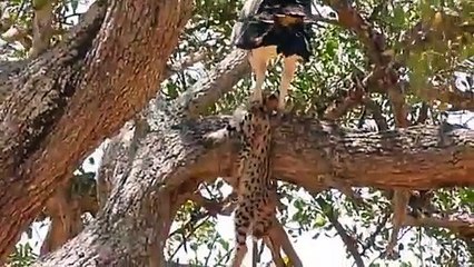 북구출장안마 -후불100%ョØ7ØE7575E0069｛카톡RD654｝  북구전지역출장안마 북구오피걸 북구출장마사지 북구안마 북구출장마사지 북구콜걸샵㌱◡≫