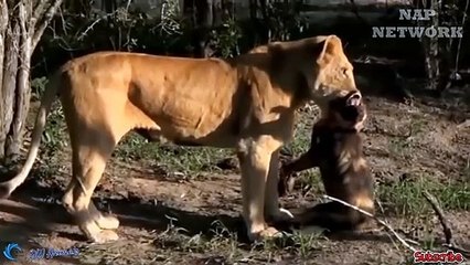 울진출장안마 -후불100%ョO7OV5222V7802｛카톡VV23}  울진전지역출장안마 울진오피걸 울진출장마사지 울진안마 울진출장마사지 울진콜걸샵㌭㌤≨