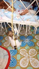 Puppy Teases Snoozing Baby