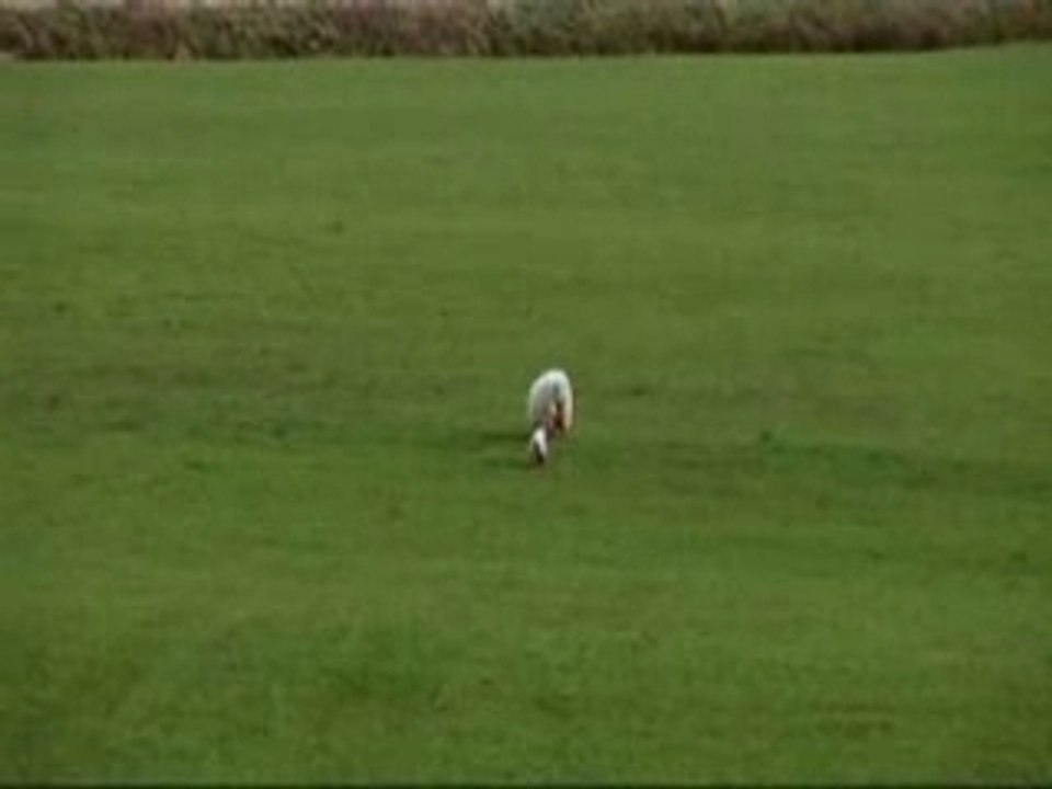 Reve Ta Vie (Dream Your life) - Isabelle & Victor Chanel