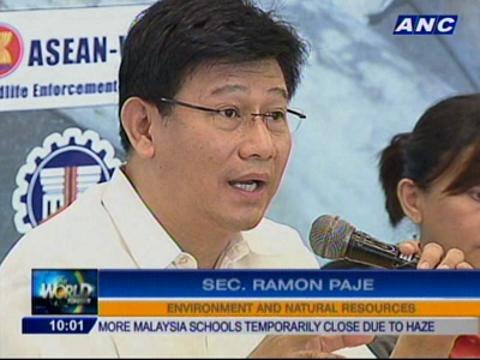 DENR destroys P430M worth of seized elephant tusks