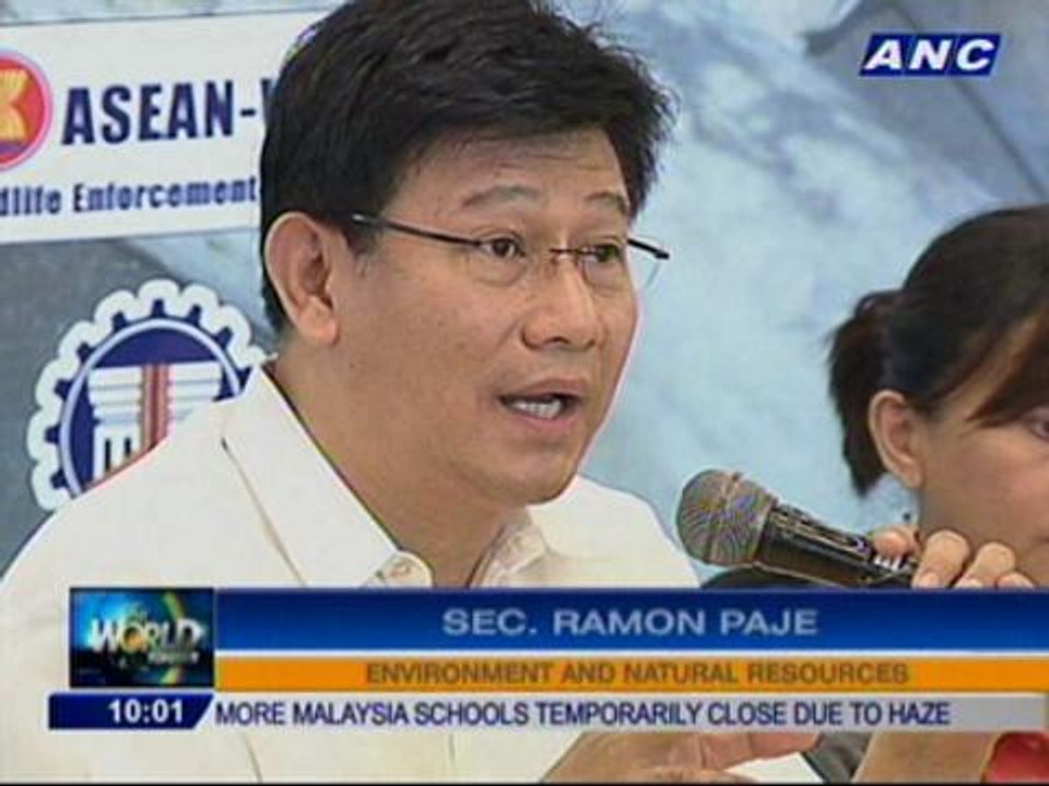 DENR destroys P430M worth of seized elephant tusks