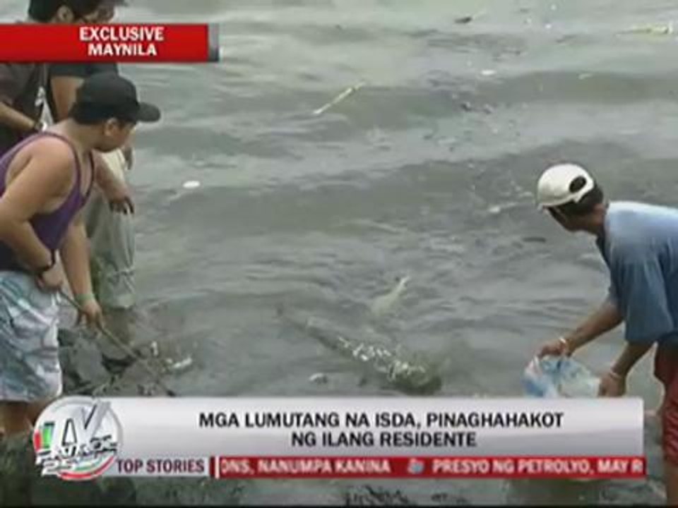EXCL: Thousands of fish found dead in Manila Bay
