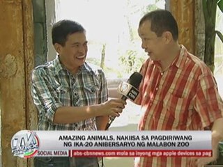 Marc Logan reports: Party animals