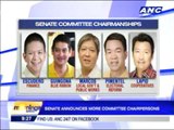 Senate announces committee chairpersons