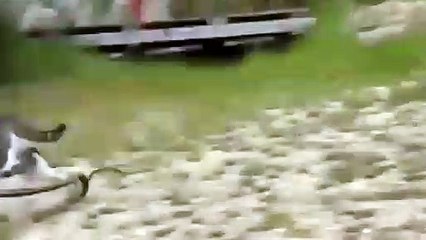 양양출장안마 -후불100%ョOiOE2997E5327｛카톡WD777｝  양양전지역출장안마 양양오피걸 양양출장마사지 양양안마 양양출장마사지 양양콜걸샵㌲⊏⾬