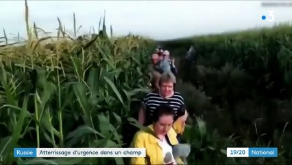 Russie : percuté par des oiseaux, un Airbus atterrit en urgence dans un champ