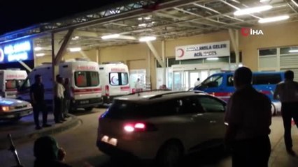 Köpek kavgasında baba oğul öldürüldü