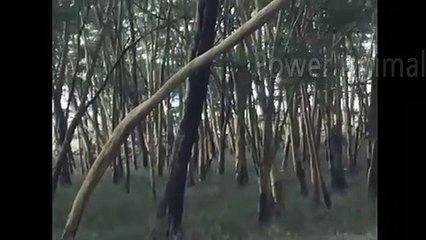 양구출장안마 -후불100%ョO7OV7333V9649｛카톡LA666｝  양구전지역출장안마 양구오피걸 양구출장마사지 양구안마 양구출장마사지 양구콜걸샵∉◭≻