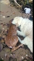 남구출장안마 -후불1ØØ%ョØ7ØE7575E0069｛카톡RD654｝ 남구전지역출장마사지 남구오피걸 남구출장안마 남구출장마사지 남구출장안마 남구출장콜걸샵안마 남구출장아로마남구출장샵∯㍐⾵