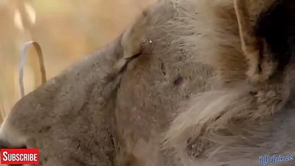 음성출장안마 -후불1ØØ%ョØ7ØM7575M0054｛카톡OYO78｝ 음성전지역출장마사지 음성오피걸 음성출장안마 음성출장마사지 음성출장안마 음성출장콜걸샵안마 음성출장아로마 음성출장㌟㌏⾽