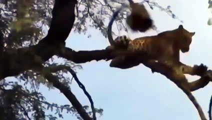 대학로출장안마 -후불1ØØ%ョØ7ØM7575M0062｛카톡DDR88｝ 대학로전지역출장마사지 대학로오피걸 대학로출장안마 대학로출장마사지 대학로출장안마 대학로출장콜걸샵안마 대학로출장아로마 대학로출장◠⻢㍋