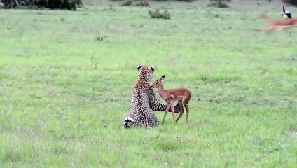 청주출장안마 -후불1ØØ%ョØ1ØM7685M6221｛카톡USA51｝ 청주전지역출장마사지 청주오피걸 청주출장안마 청주출장마사지 청주출장안마 청주출장콜걸샵안마 청주출장아로마청주출장샵ぃ㌦が