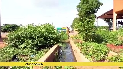 Ouganda : hausse record du paludisme