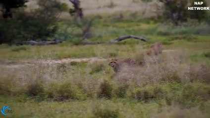 영광출장안마 -후불1ØØ%ョØ7ØE7575E0062｛카톡DK654｝ 영광전지역출장마사지 영광오피걸 영광출장안마 영광출장마사지 영광출장안마 영광출장콜걸샵안마 영광출장아로마 영광출장◕⾸⊐