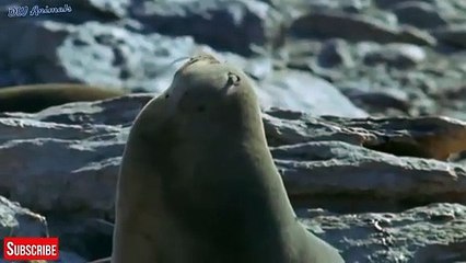 의성출장안마 -후불100%ョOiOE7685E6221｛카톡USA51｝  의성전지역출장안마 의성오피걸 의성출장마사지 의성안마 의성출장마사지 의성콜걸샵は≈⾳