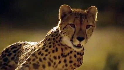 조치원출장안마 -후불1ØØ%ョOiOV2671V8135｛카톡AQ52｝ 조치원전지역출장마사지 조치원오피걸 조치원출장안마 조치원출장마사지 조치원출장안마 조치원출장콜걸샵안마 조치원출장아로마조치원출장샵⻋⻪≾