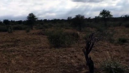 건대역출장안마 -후불100%ョO7OW5222W7802｛카톡VV23}  건대역전지역출장안마 건대역오피걸 건대역출장마사지 건대역안마 건대역출장마사지 건대역콜걸샵㍗◥ゎ