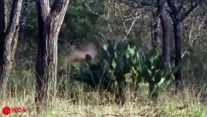 서원출장안마 -후불1ØØ%ョOiOE2997E5327｛카톡WD777｝ 서원전지역출장마사지 서원오피걸 서원출장안마 서원출장마사지 서원출장안마 서원출장콜걸샵안마 서원출장아로마 서원출장≾◔㌝