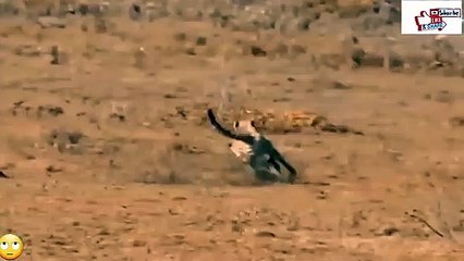 유성지구출장안마 -후불100%ョO7OW7333W9649｛카톡LA666｝  유성지구전지역출장안마 유성지구오피걸 유성지구출장마사지 유성지구안마 유성지구출장마사지 유성지구콜걸샵㌔㌘㌡