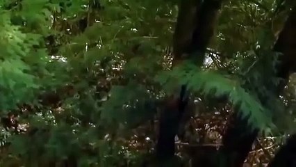 상주출장안마 -후불100%ョØ7ØE7575E0062｛카톡DK654｝  상주전지역출장안마 상주오피걸 상주출장마사지 상주안마 상주출장마사지 상주콜걸샵≋≣⾲