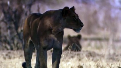 울진출장안마 -후불1ØØ%ョOiOs2671s8135｛카톡AQ52｝ 울진전지역출장마사지 울진오피걸 울진출장안마 울진출장마사지 울진출장안마 울진출장콜걸샵안마 울진출장아로마울진출장샵≴⾷⾼