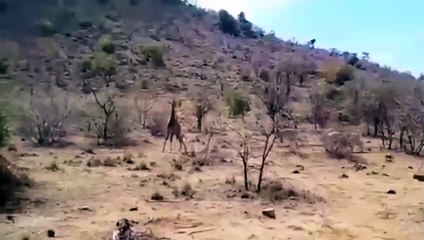 공주출장안마 -후불1ØØ%ョOiOE2997E5327｛카톡USA59｝ 공주전지역출장마사지 공주오피걸 공주출장안마 공주출장마사지 공주출장안마 공주출장콜걸샵안마 공주출장아로마 공주출장≈㌫だ