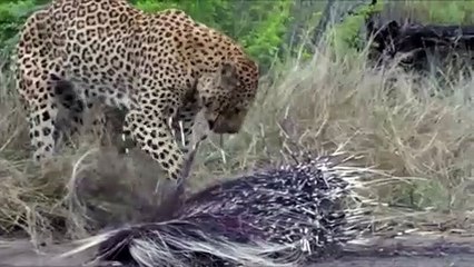 화순출장안마 -후불100%ョØ1ØM7685M6221｛카톡LTE16｝  화순전지역출장안마 화순오피걸 화순출장마사지 화순안마 화순출장마사지 화순콜걸샵◒㌫㌬