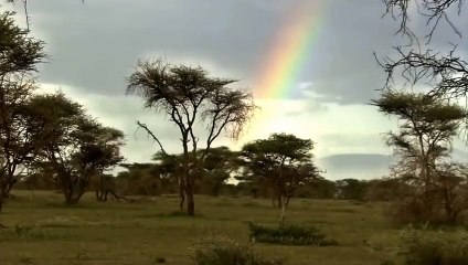 동구출장안마 -후불1ØØ%ョØ7ØE7575E0062｛카톡DK654｝ 동구전지역출장마사지 동구오피걸 동구출장안마 동구출장마사지 동구출장안마 동구출장콜걸샵안마 동구출장아로마동구출장샵ぁ◑ご