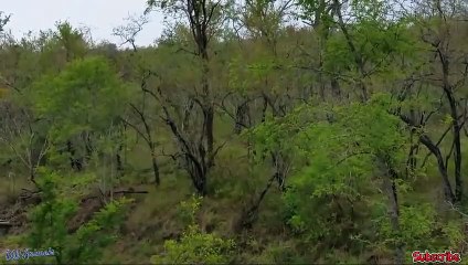 화천출장안마 -후불100%ョO7OW5222W7802｛카톡VV23}  화천전지역출장안마 화천오피걸 화천출장마사지 화천안마 화천출장마사지 화천콜걸샵⾰ぬ≲