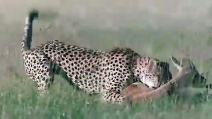 유성지구출장안마 -후불100%ョO7OV5222V6739｛카톡CS69｝  유성지구전지역출장안마 유성지구오피걸 유성지구출장마사지 유성지구안마 유성지구출장마사지 유성지구콜걸샵⾽∰㌺