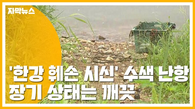 [자막뉴스] '한강 훼손 시신' 수색 작업·신원 확인 난항 / YTN