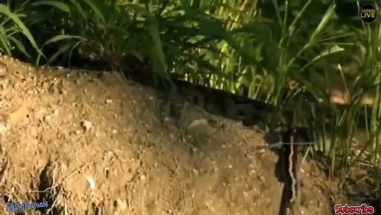 담양출장안마 -후불1ØØ%ョØ7ØM7575M0054｛카톡OYO78｝ 담양전지역출장마사지 담양오피걸 담양출장안마 담양출장마사지 담양출장안마 담양출장콜걸샵안마 담양출장아로마담양출장샵ぢ◡㌝