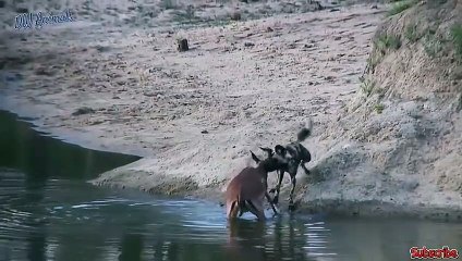 동성로출장안마 -후불1ØØ%ョØ7ØM7575M0062｛카톡DDR88｝ 동성로전지역출장마사지 동성로오피걸 동성로출장안마 동성로출장마사지 동성로출장안마 동성로출장콜걸샵안마 동성로출장아로마 동성로출장㍏∗∬