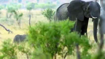 고령출장안마 -후불1ØØ%ョO7OV5222V6739｛카톡ZF66｝ 고령전지역출장마사지 고령오피걸 고령출장안마 고령출장마사지 고령출장안마 고령출장콜걸샵안마 고령출장아로마 고령출장◦き⊍