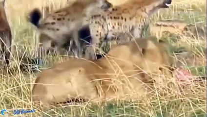 순창출장안마 -후불100%ョOiOE7685E6221｛카톡PP888｝  순창전지역출장안마 순창오피걸 순창출장마사지 순창안마 순창출장마사지 순창콜걸샵ゔぽゎ