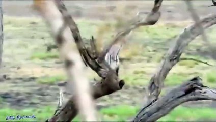 수성지구출장안마 -후불100%ョØ7ØM7575M0054｛카톡OYO78｝  수성지구전지역출장안마 수성지구오피걸 수성지구출장마사지 수성지구안마 수성지구출장마사지 수성지구콜걸샵◧㌖㌑