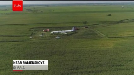Russian plane crash lands in corn field after hitting a flock of birds