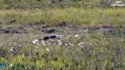 함양출장안마 -후불100%ョØ7ØM7575M0054｛카톡OYO78｝  함양전지역출장안마 함양오피걸 함양출장마사지 함양안마 함양출장마사지 함양콜걸샵∷そあ