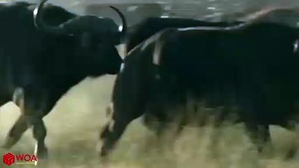 진안출장안마 -후불100%ョØ7ØM7575M0062｛카톡DDR88｝  진안전지역출장안마 진안오피걸 진안출장마사지 진안안마 진안출장마사지 진안콜걸샵う㌫∍