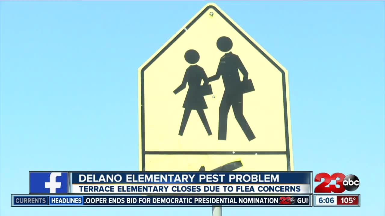 Delano elementary pest problem