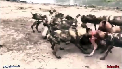 목포출장안마 -후불100%ョO7OV5222V6739｛카톡CS69｝  목포전지역출장안마 목포오피걸 목포출장마사지 목포안마 목포출장마사지 목포콜걸샵∼つ◓