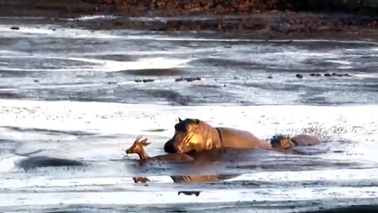 횡성출장안마 -후불100%ョØ7ØM7575M0054｛카톡OYO78｝  횡성전지역출장안마 횡성오피걸 횡성출장마사지 횡성안마 횡성출장마사지 횡성콜걸샵㌖≲⾺