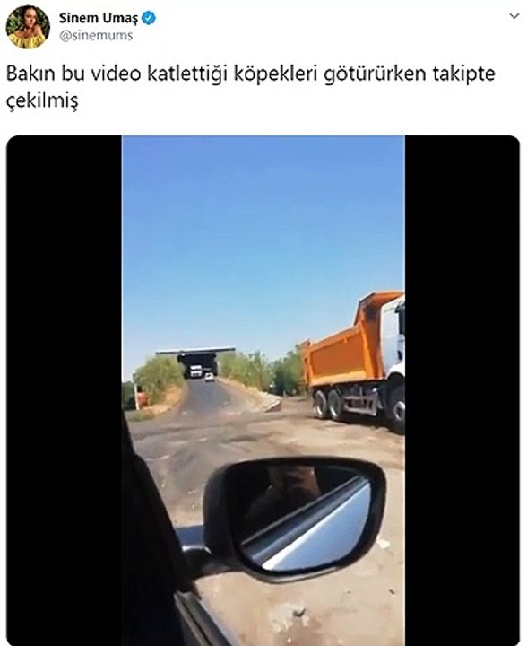 Diyarbakır Hayvan Katliamı