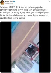 Diyarbakır Hayvan Katliamı