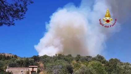 Monte Argentario (GR) - Incendio di vegetazione (16.08.19)